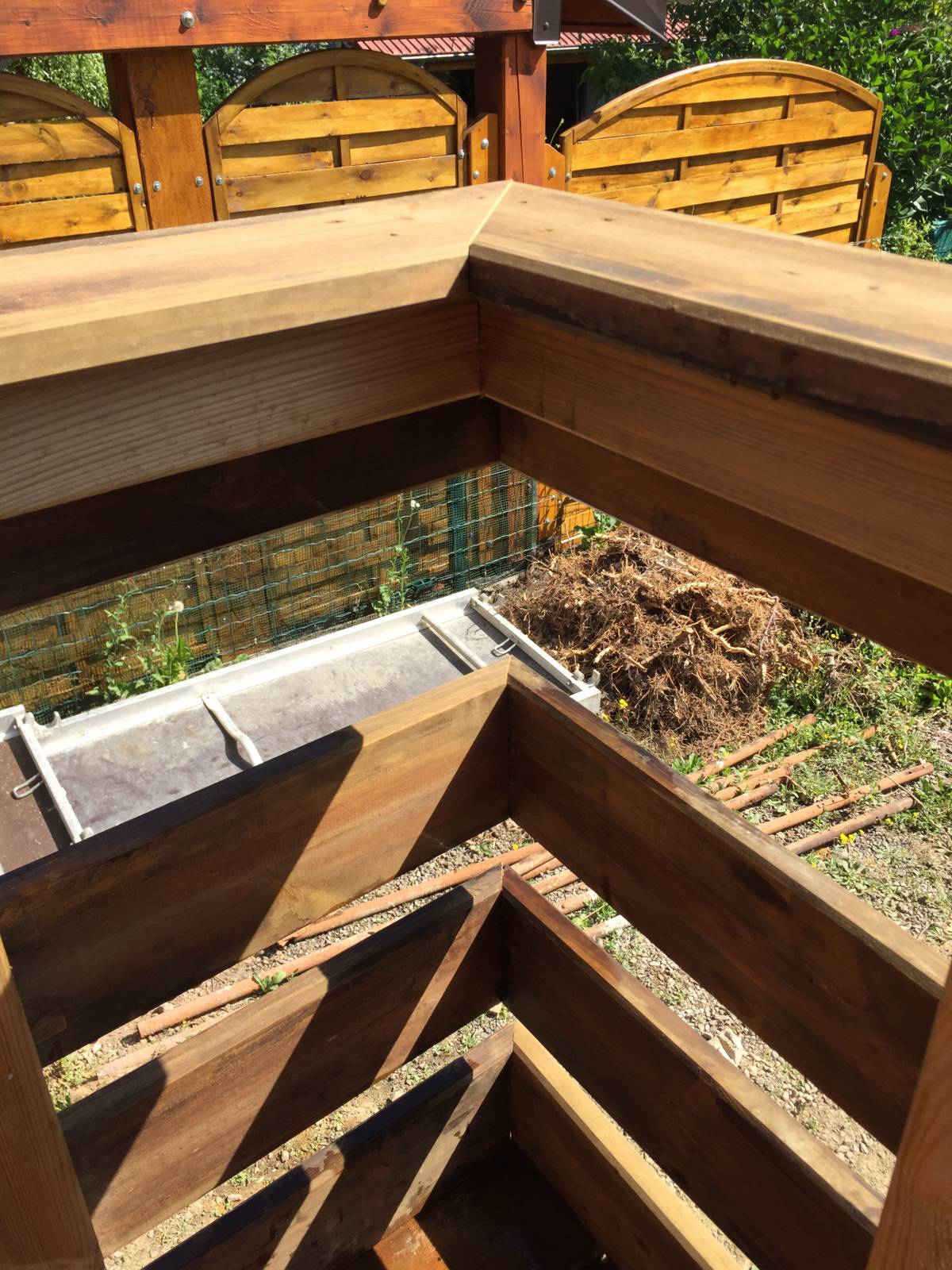 TERRASSE PIN PROLIN BELFORT (90) Thann 16